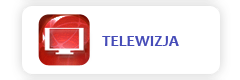 telewizja
